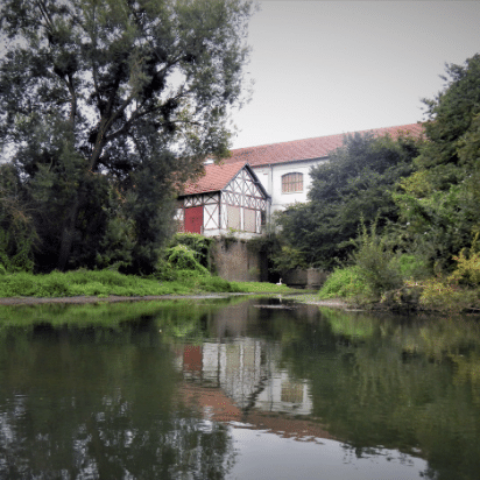 Les dimanches au bord de l’eau