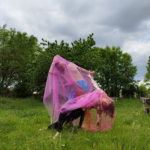 Compagnie En cours structuration © Pauline Dubois